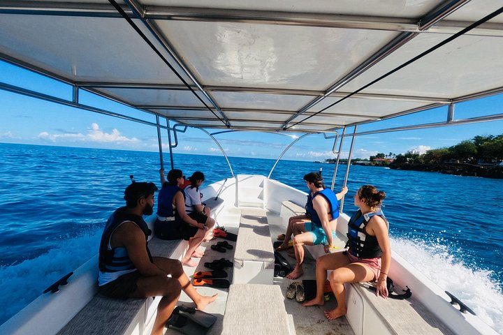 Discover Sosua's Underwater World & Beach Day - Photo 1 of 19